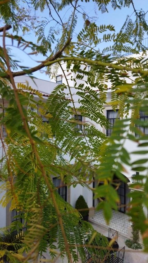 Casa Laní Luxury Alojamento de Acomodação e Pequeno-almoço