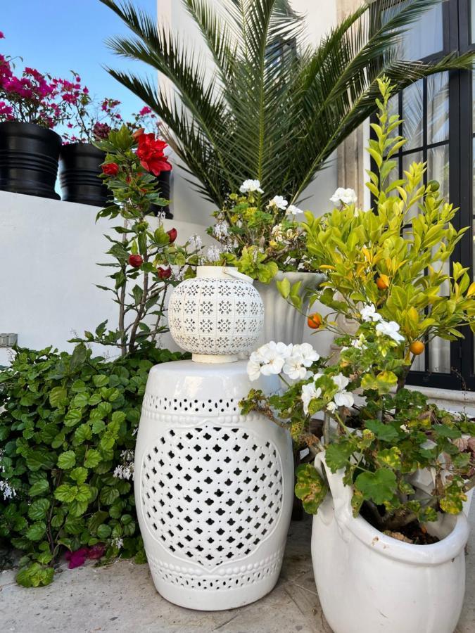 Alojamento de Acomodação e Pequeno-almoço Casa Laní Luxury San Miguel de Allende