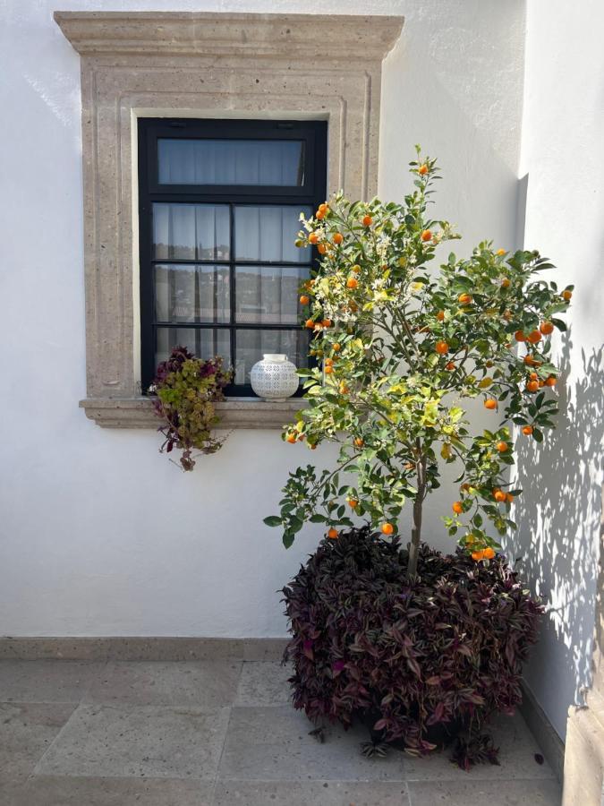 Casa Laní Luxury 3* San Miguel de Allende